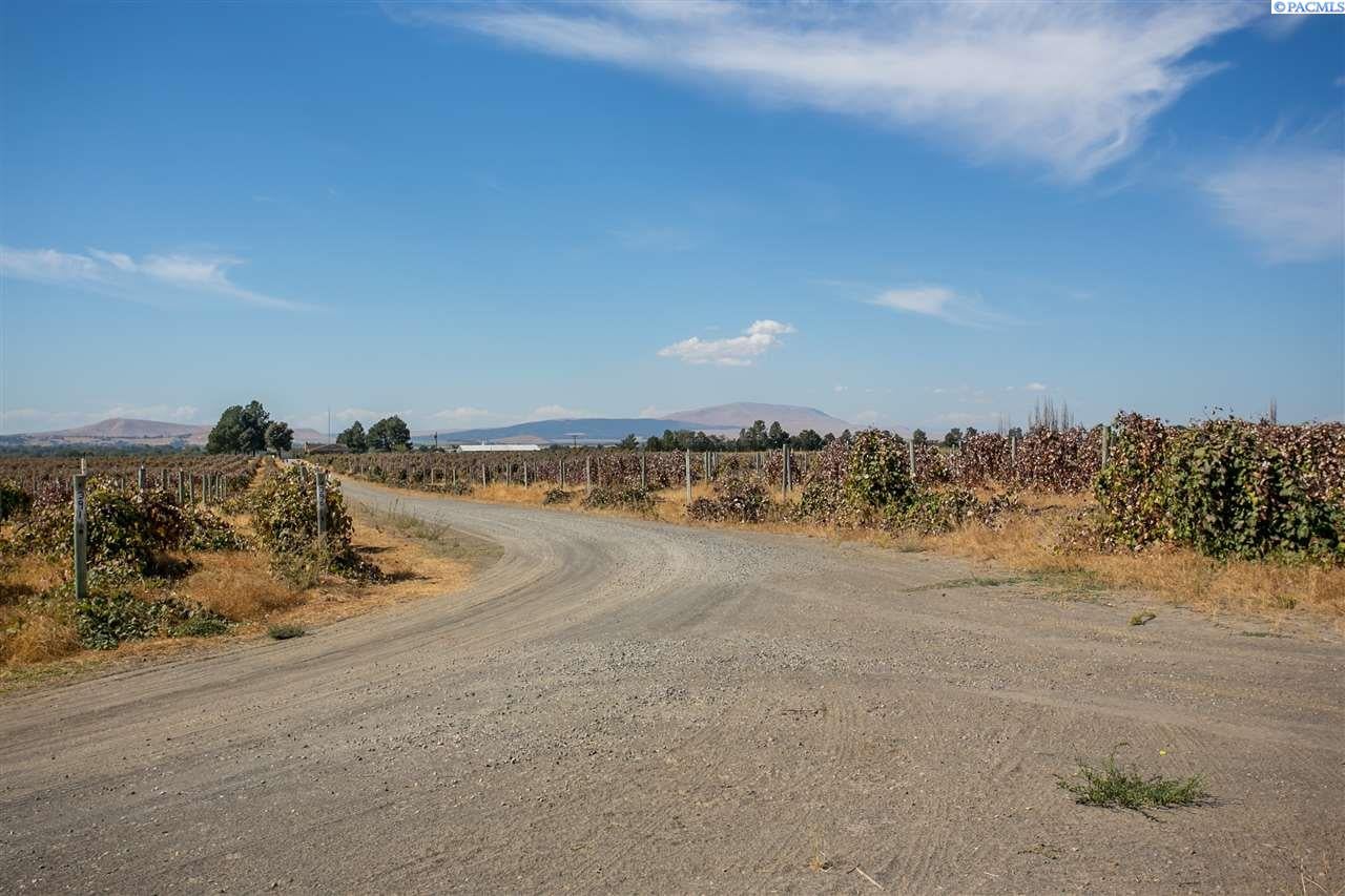 Tbd Dent Road Pasco, WA 99301 - Photo 19 of 30 Gallery Image 19