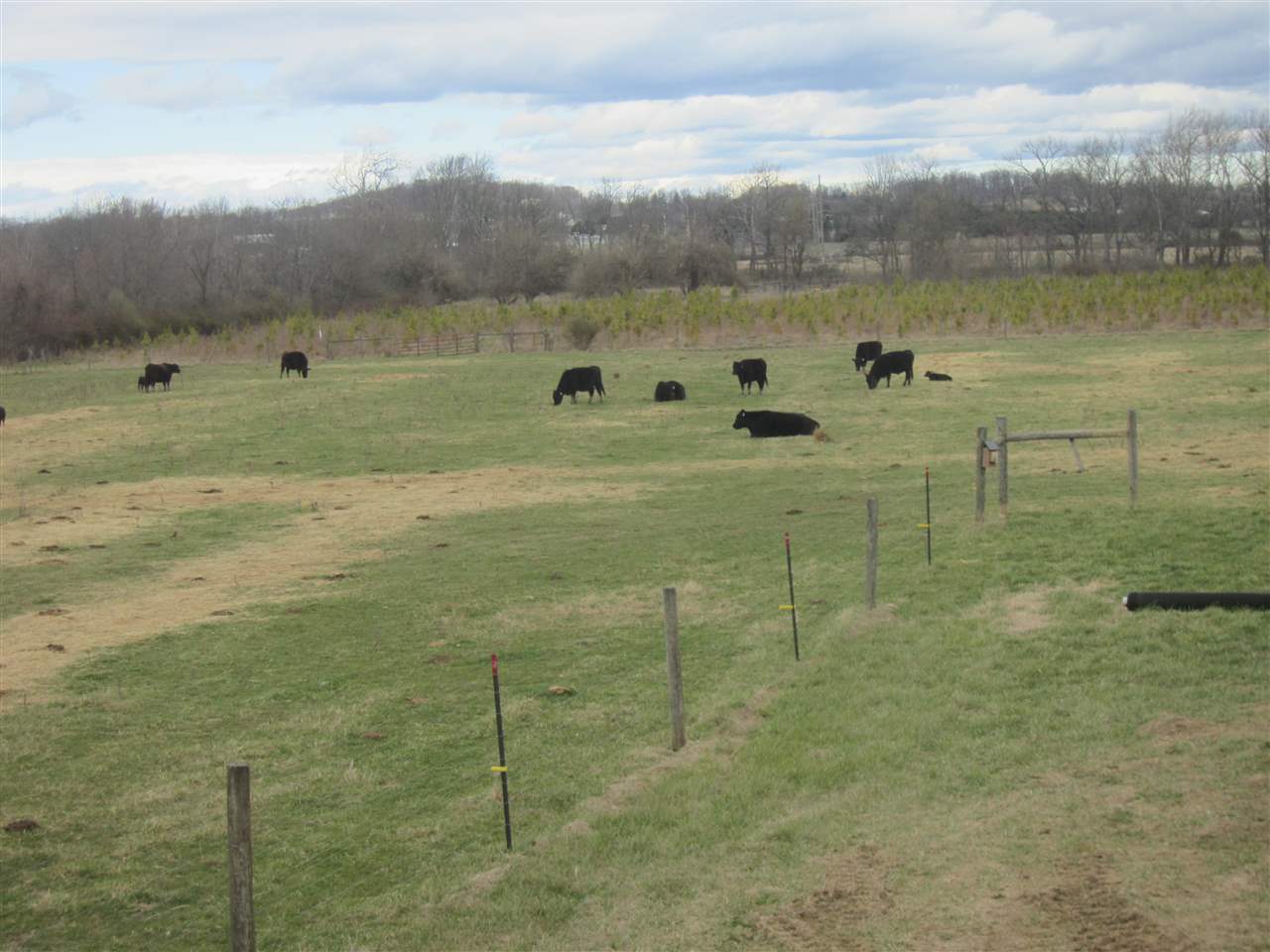 313 Cold Springs Road Stuarts Draft, VA 24477 - Photo 43 of 50 Gallery Image 43