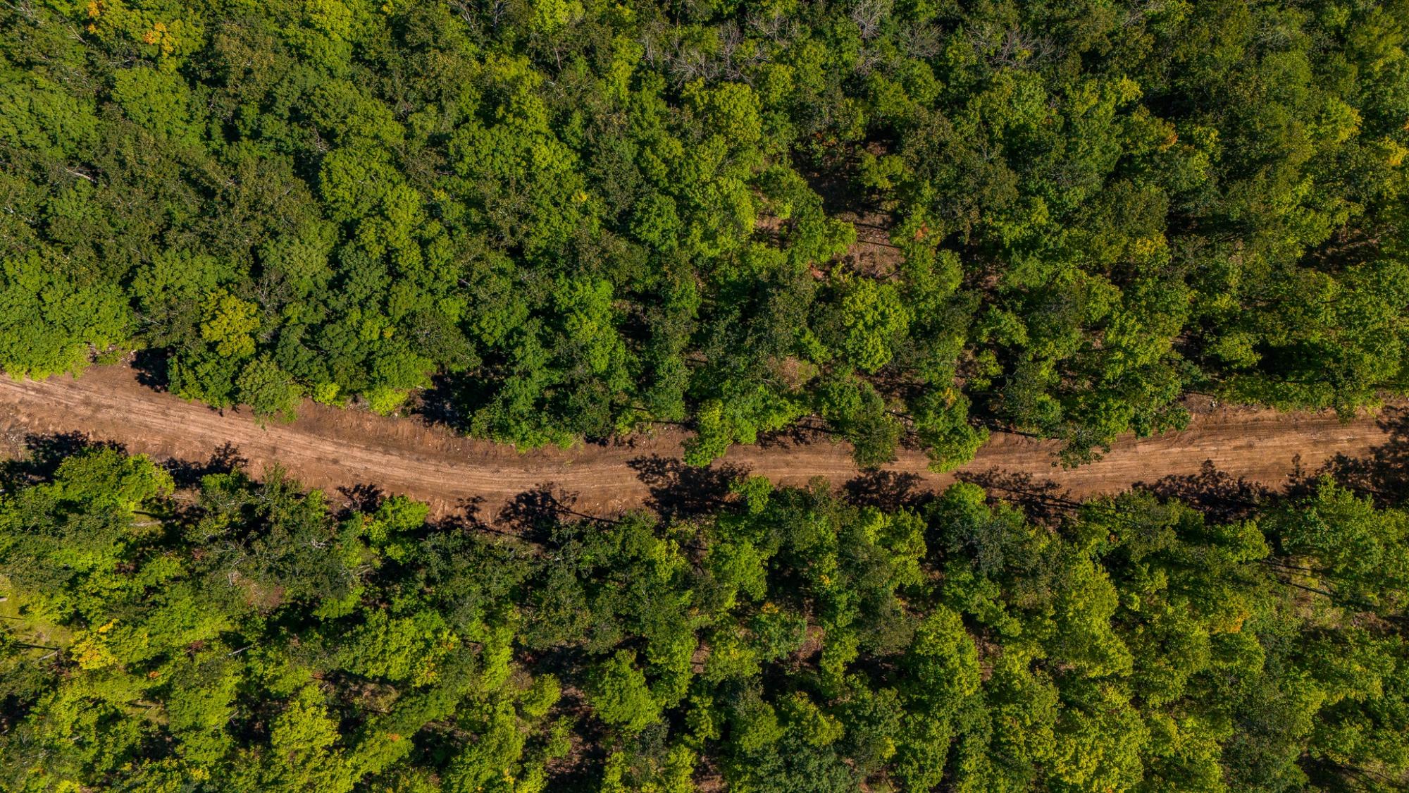 40-acres Ison Road Crandon, WI 54520 - Photo 17 of 31 Gallery Image 17
