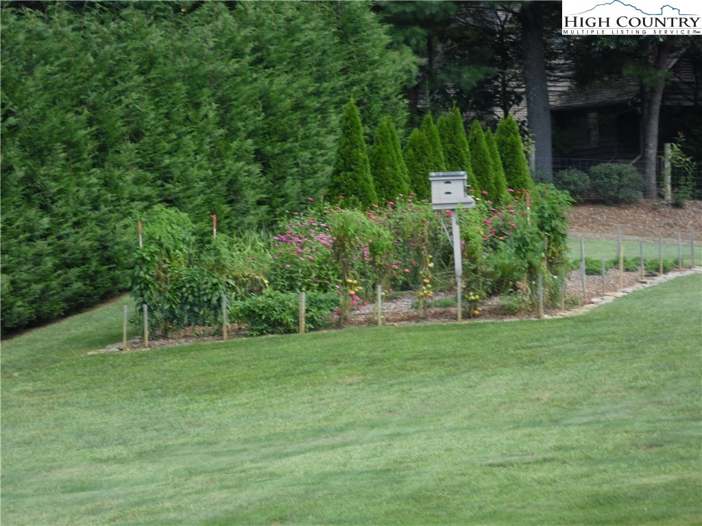 528 Stewart Road Ennice, NC 28623 - Photo 29 of 46 a view of a back yard