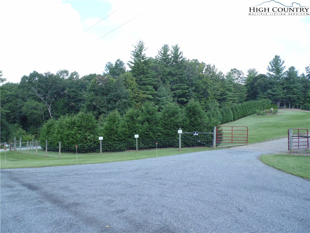 528 Stewart Road Ennice, NC 28623 - Photo 7 of 46 a view of a field with trees in background