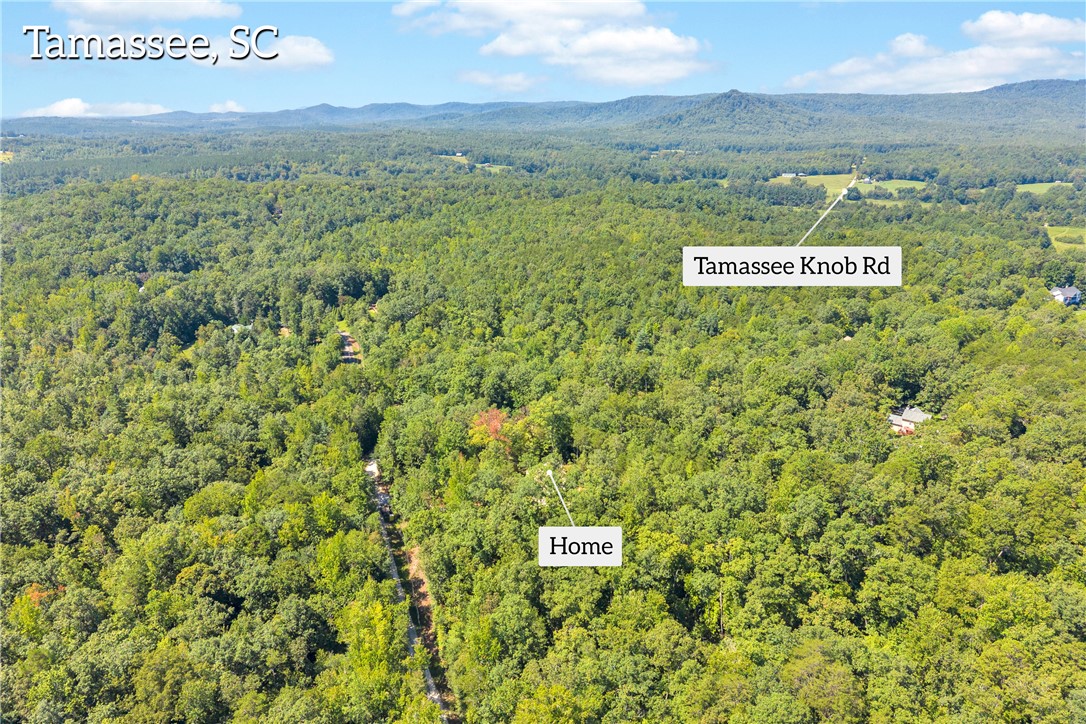 659 White Oak Farms Road Tamassee, SC 29686 - Photo 11 of 50 Lush forested hills roll toward distant mountains under a blue sky.