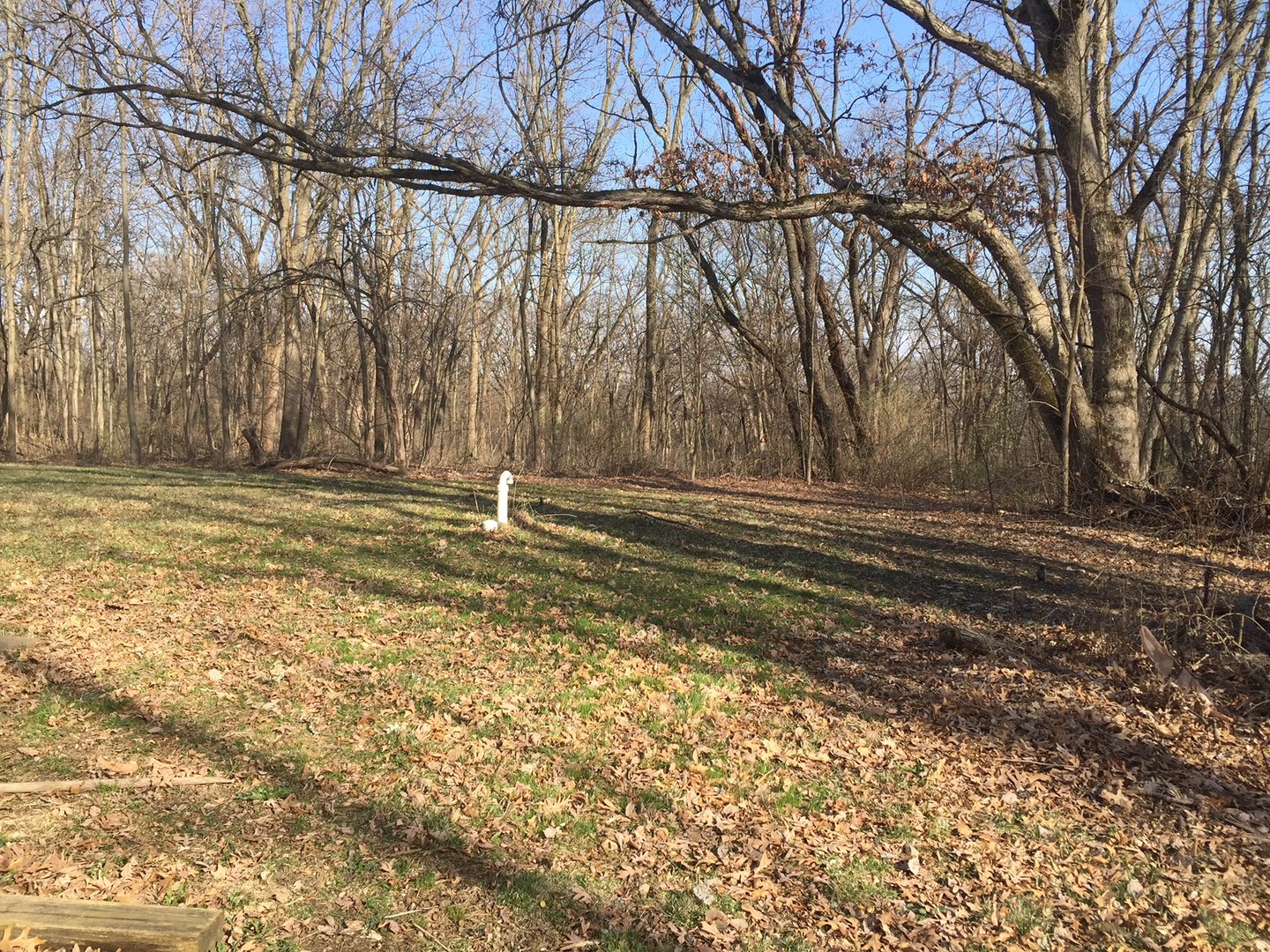 135 South German Church Road Oregon, IL 61061 - Photo 5 of 11