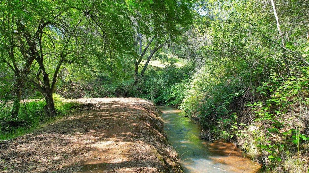 11290 Township Road Browns Valley, CA 95918 - Photo 11 of 32 BVID stream runs through the property