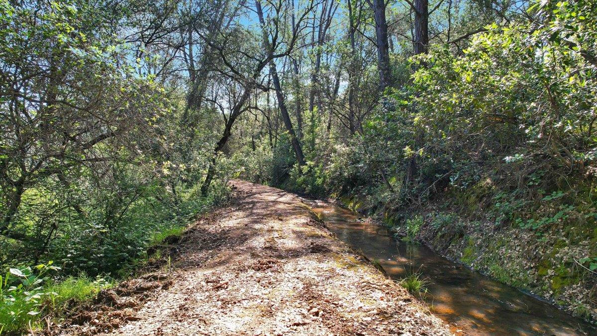 11290 Township Road Browns Valley, CA 95918 - Photo 12 of 32 BVID runs through the property with a hiking trail