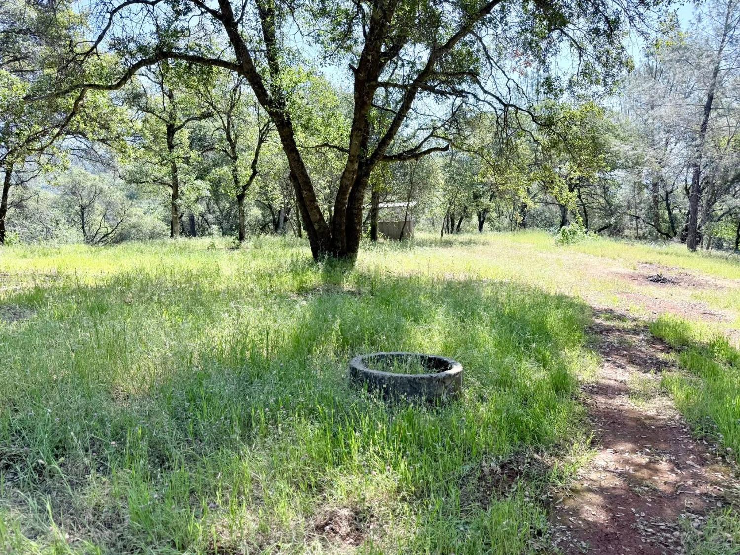 11290 Township Road Browns Valley, CA 95918 - Photo 13 of 32