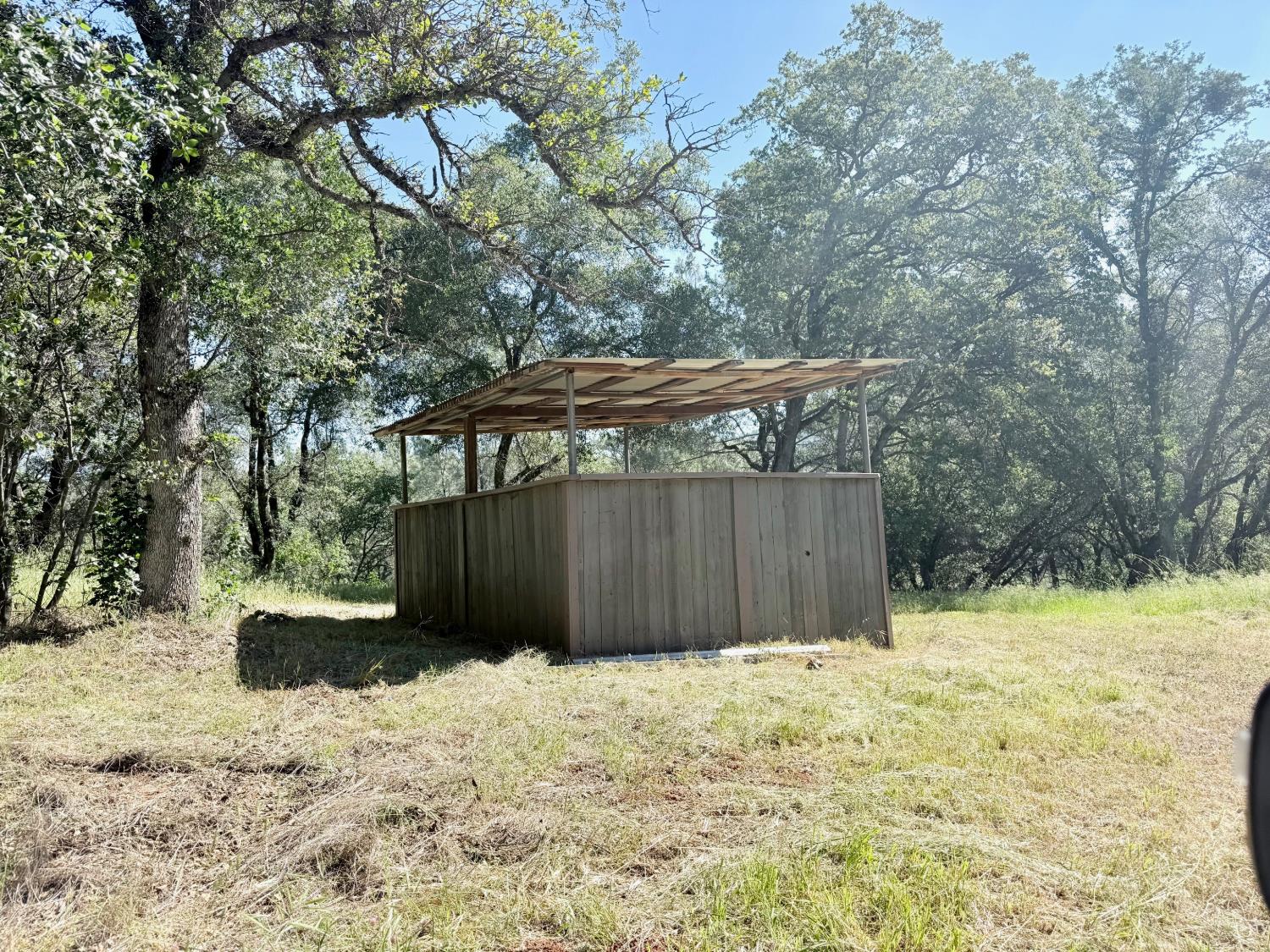 11290 Township Road Browns Valley, CA 95918 - Photo 14 of 32 Shed near the located spot for a future well