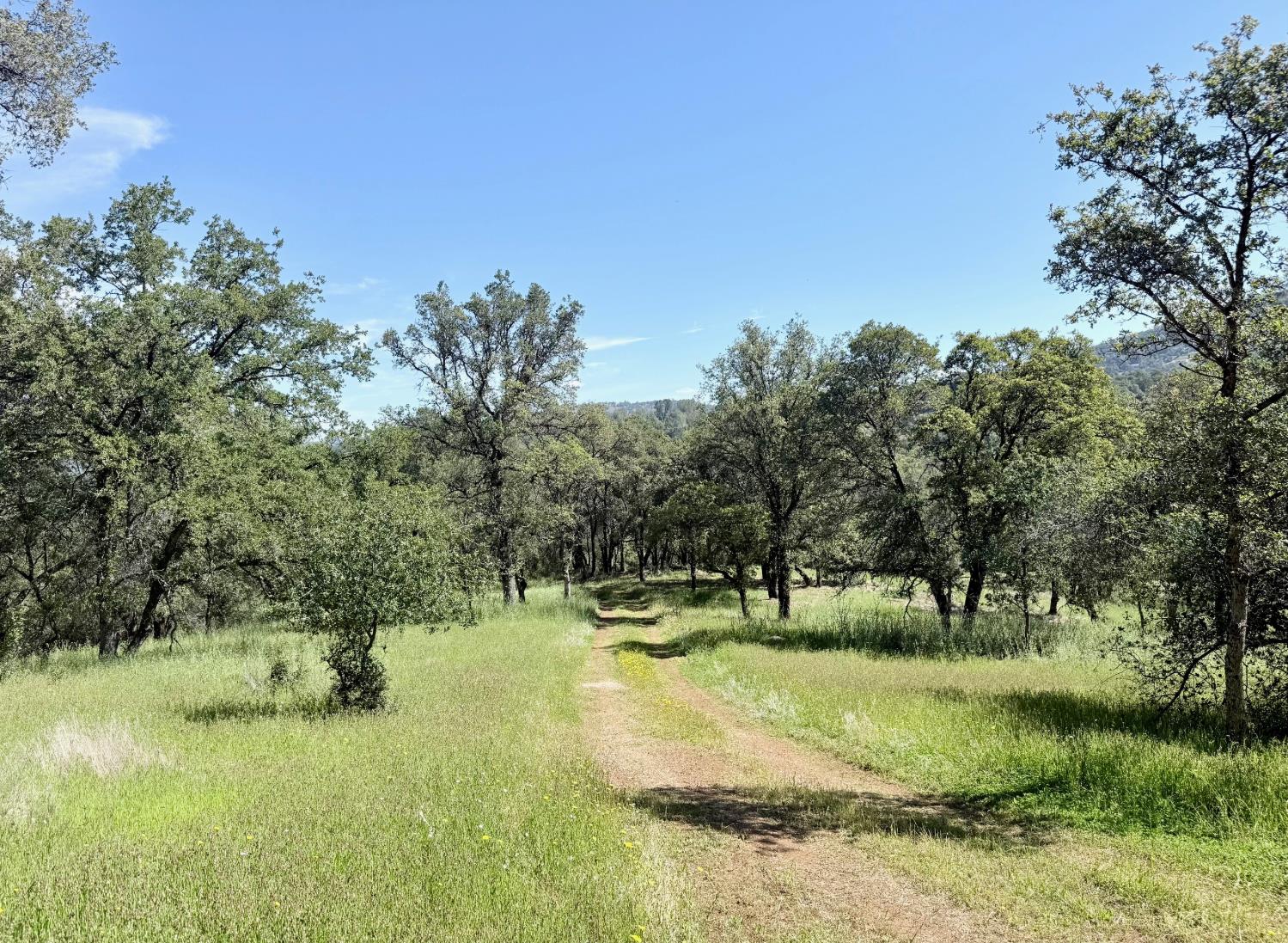 11290 Township Road Browns Valley, CA 95918 - Photo 15 of 32