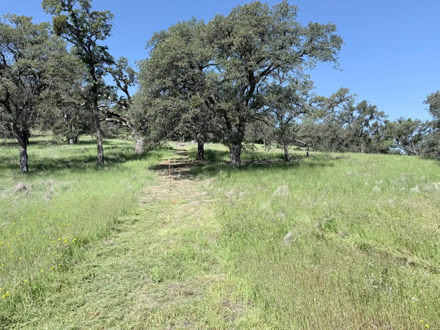11290 Township Road Browns Valley, CA 95918 - Photo 17 of 32