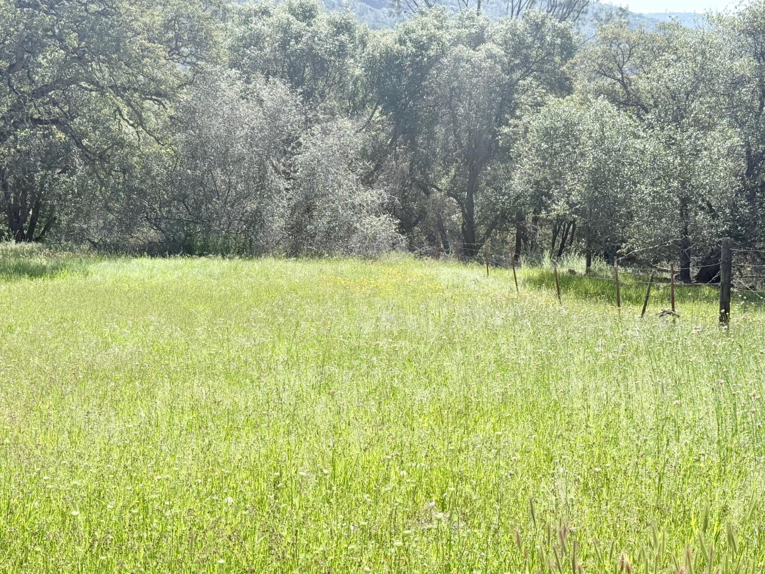 11290 Township Road Browns Valley, CA 95918 - Photo 18 of 32 Potential home location