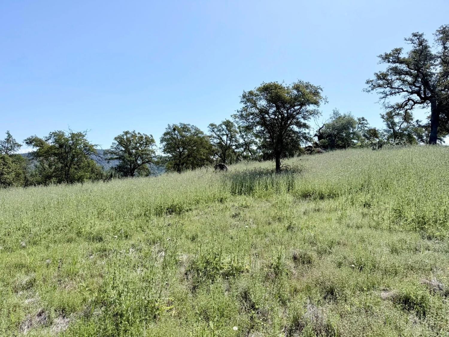 11290 Township Road Browns Valley, CA 95918 - Photo 20 of 32