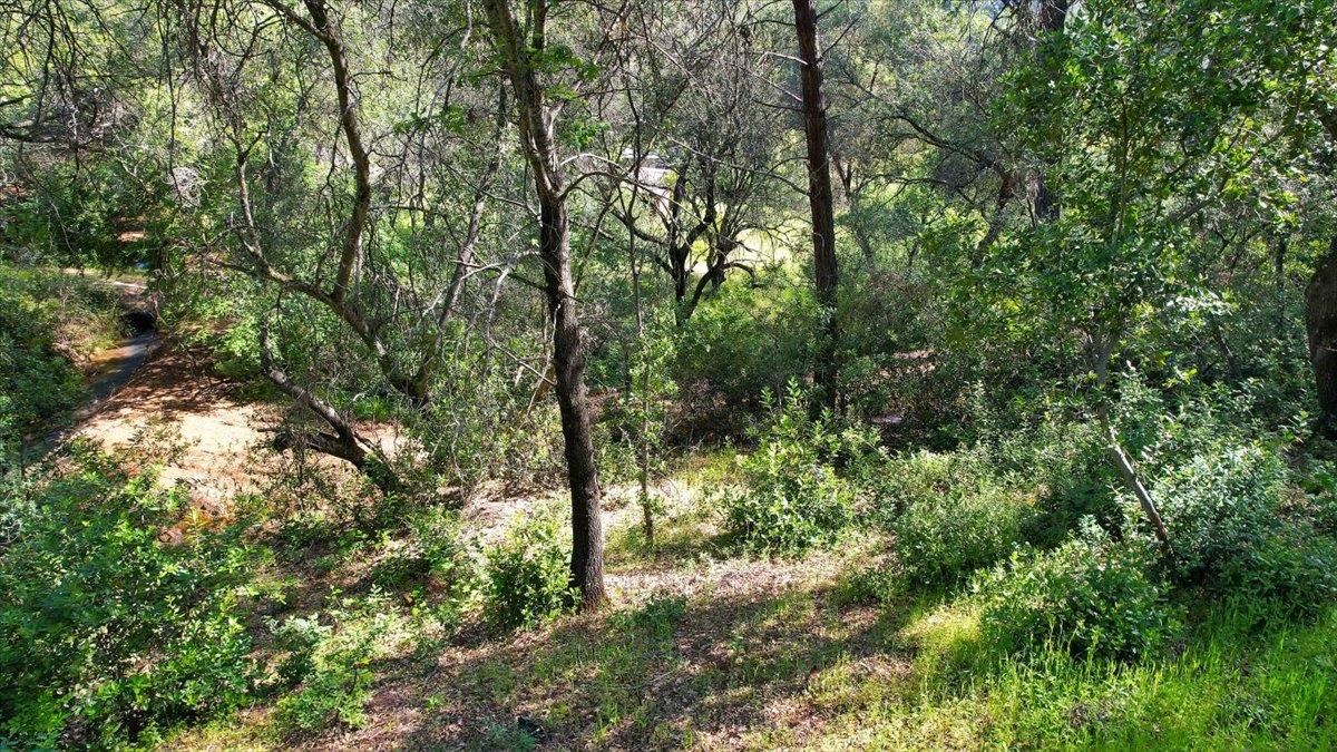 11290 Township Road Browns Valley, CA 95918 - Photo 23 of 32