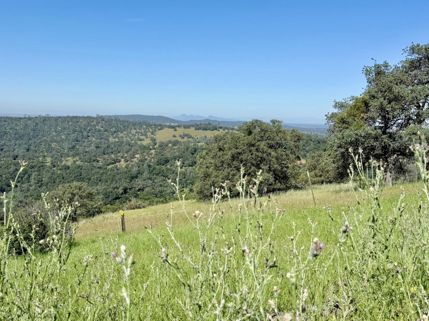 11290 Township Road Browns Valley, CA 95918 - Photo 5 of 32