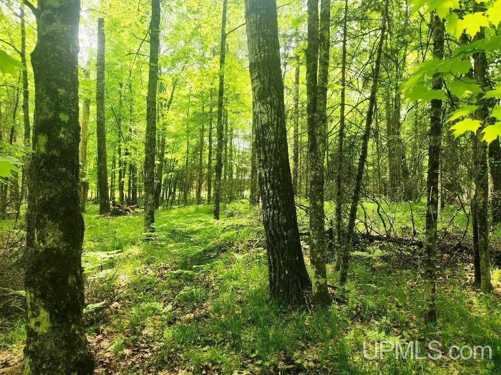 Lot 5 Wilderness Way Road Crystal Falls, MI 49920 - Photo 8 of 25