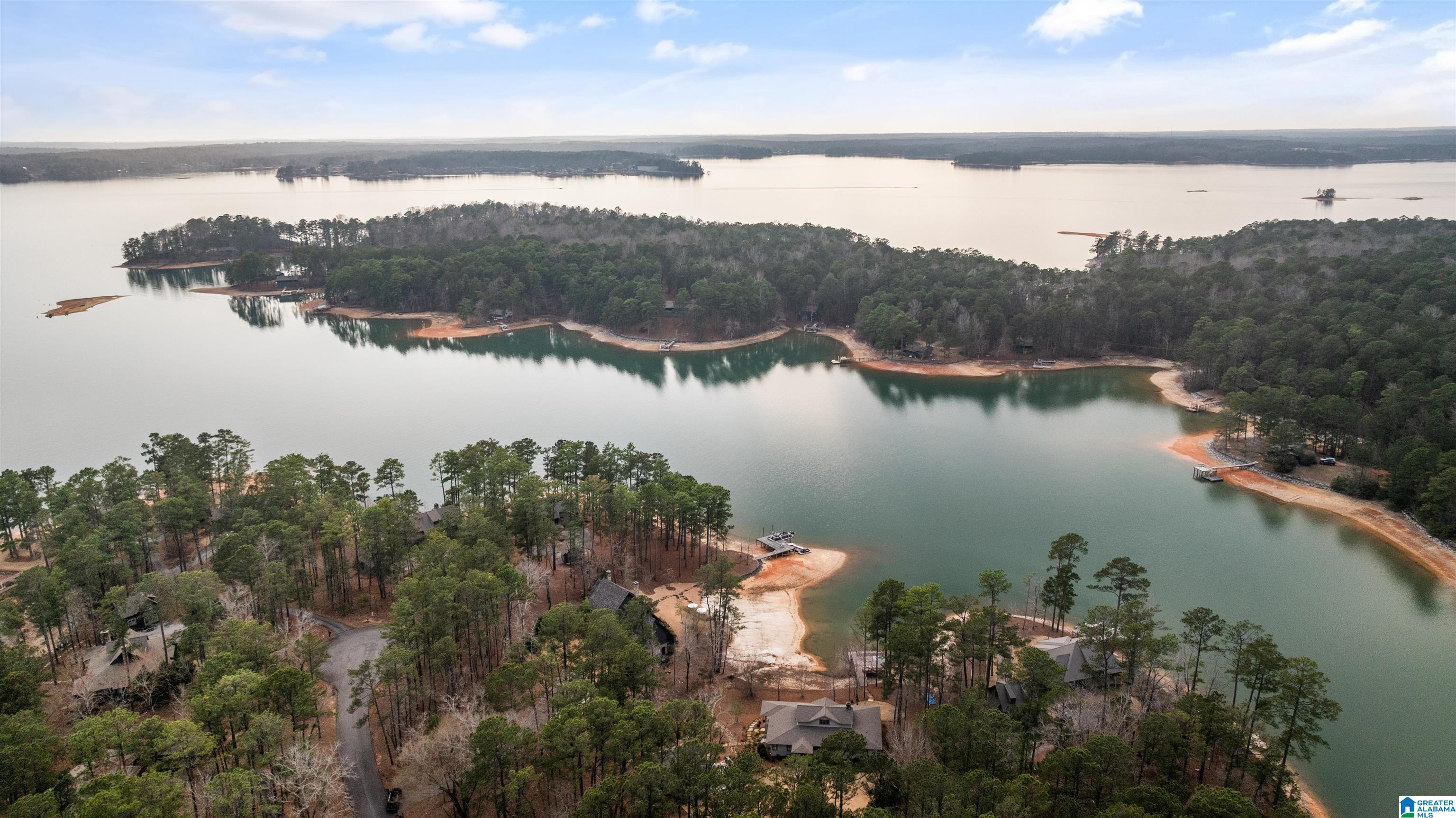 536 Russell Cabin Point Alexander City, AL 35010 - Photo 63 of 63