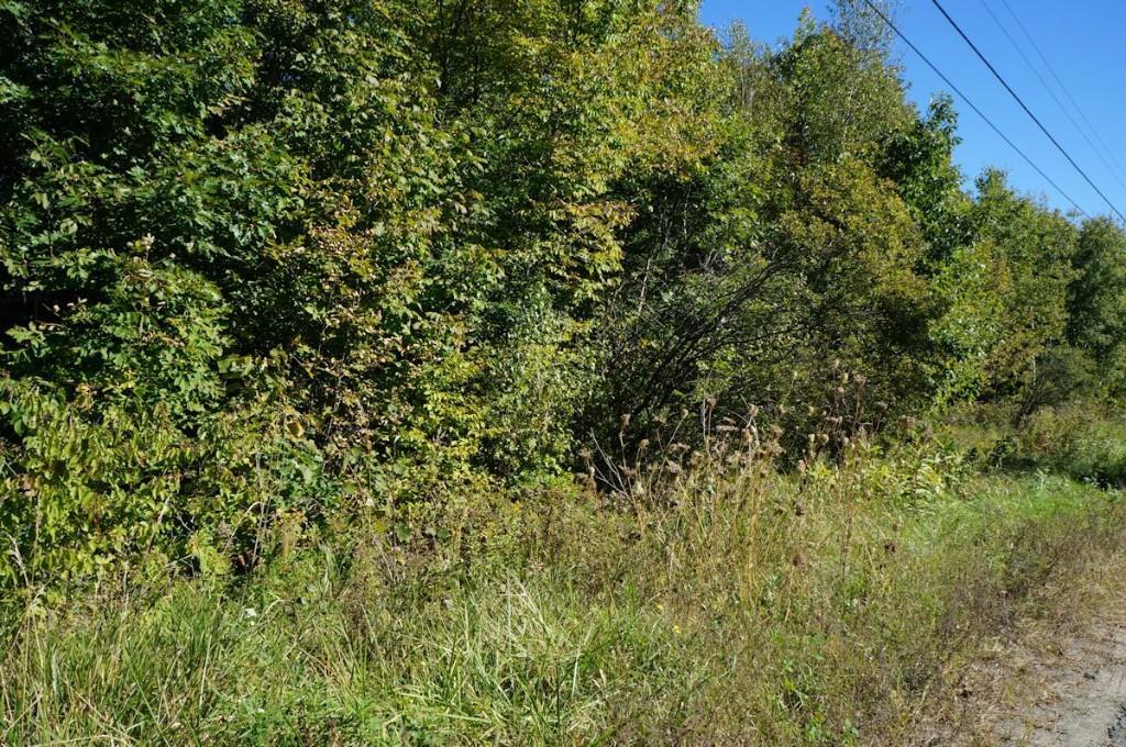 351 Snakeroot Road Pittsfield, ME 04967 - Photo 3 of 5 Photo