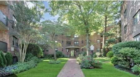 a view of house in front of a yard with potted plants and large trees