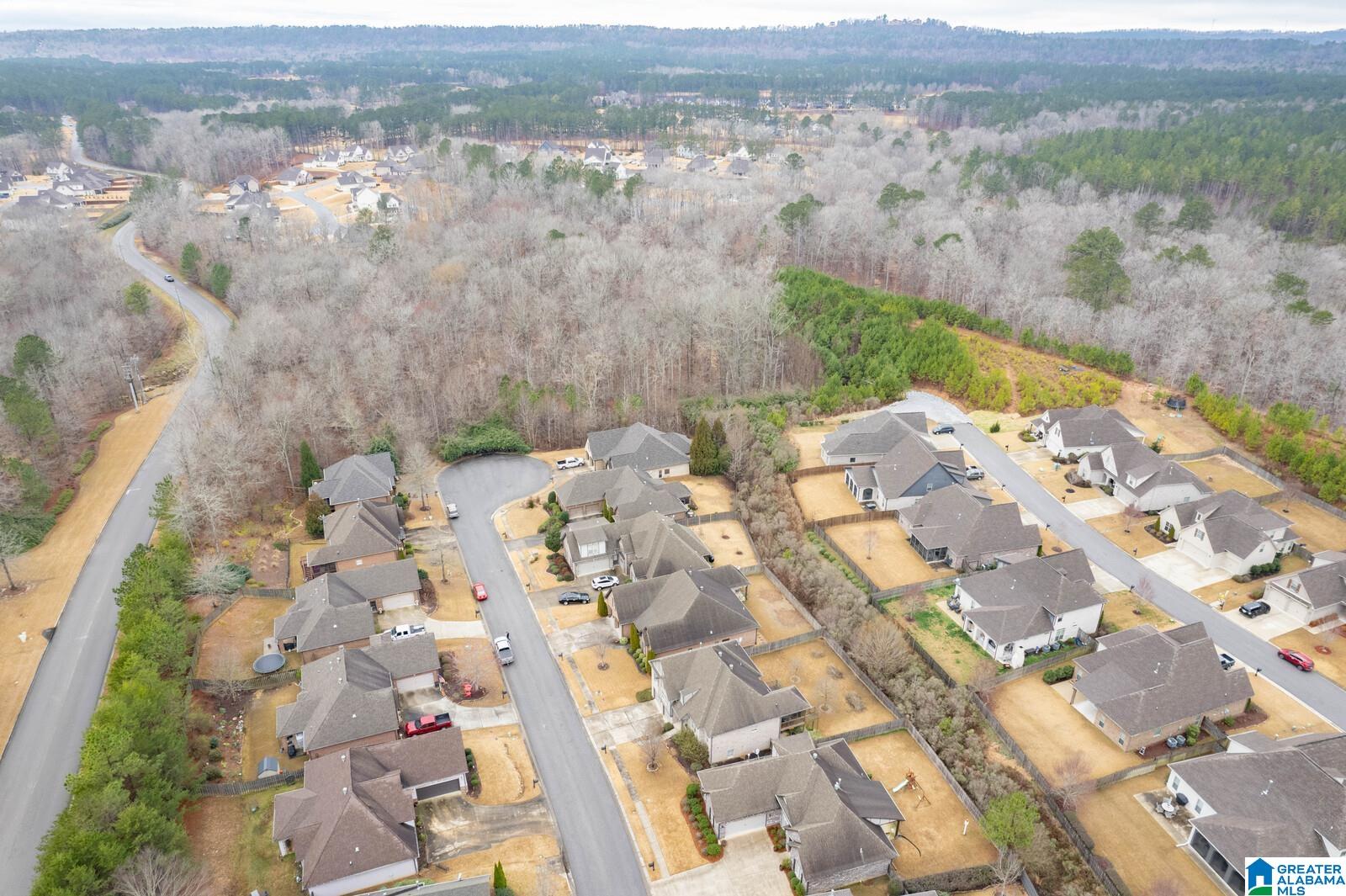 209 Kenniston Dale Pelham, AL 35124 - Photo 43 of 44