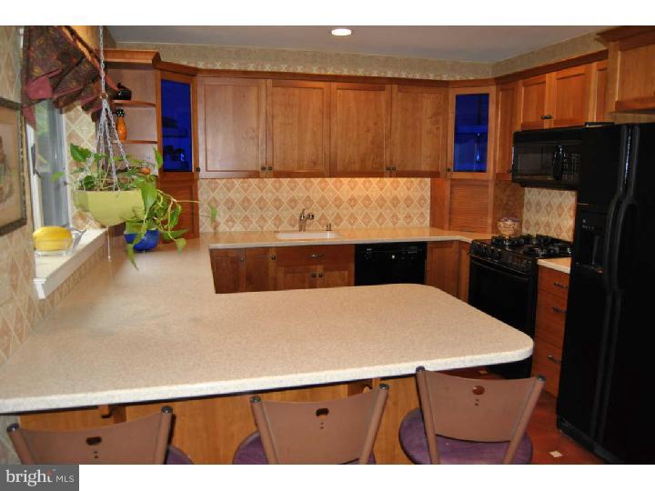 3176 North Sugan Road New Hope, PA 18938 - Photo 6 of 25 Gallery Image 6