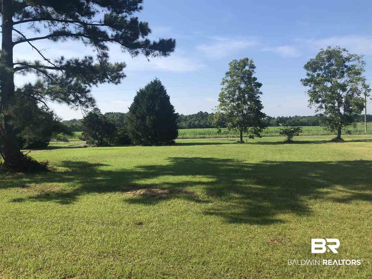 26227 Wesley Pate Road Elberta, AL 36530 - Photo 2 of 19