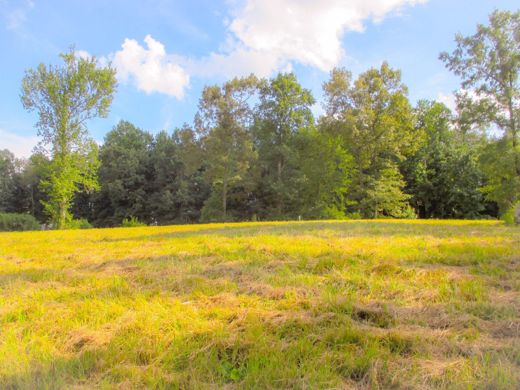 0 Spring Meadows Lane Morrison, TN 37357 - Photo 1 of 13 a view of a swimming pool and an outdoor space
