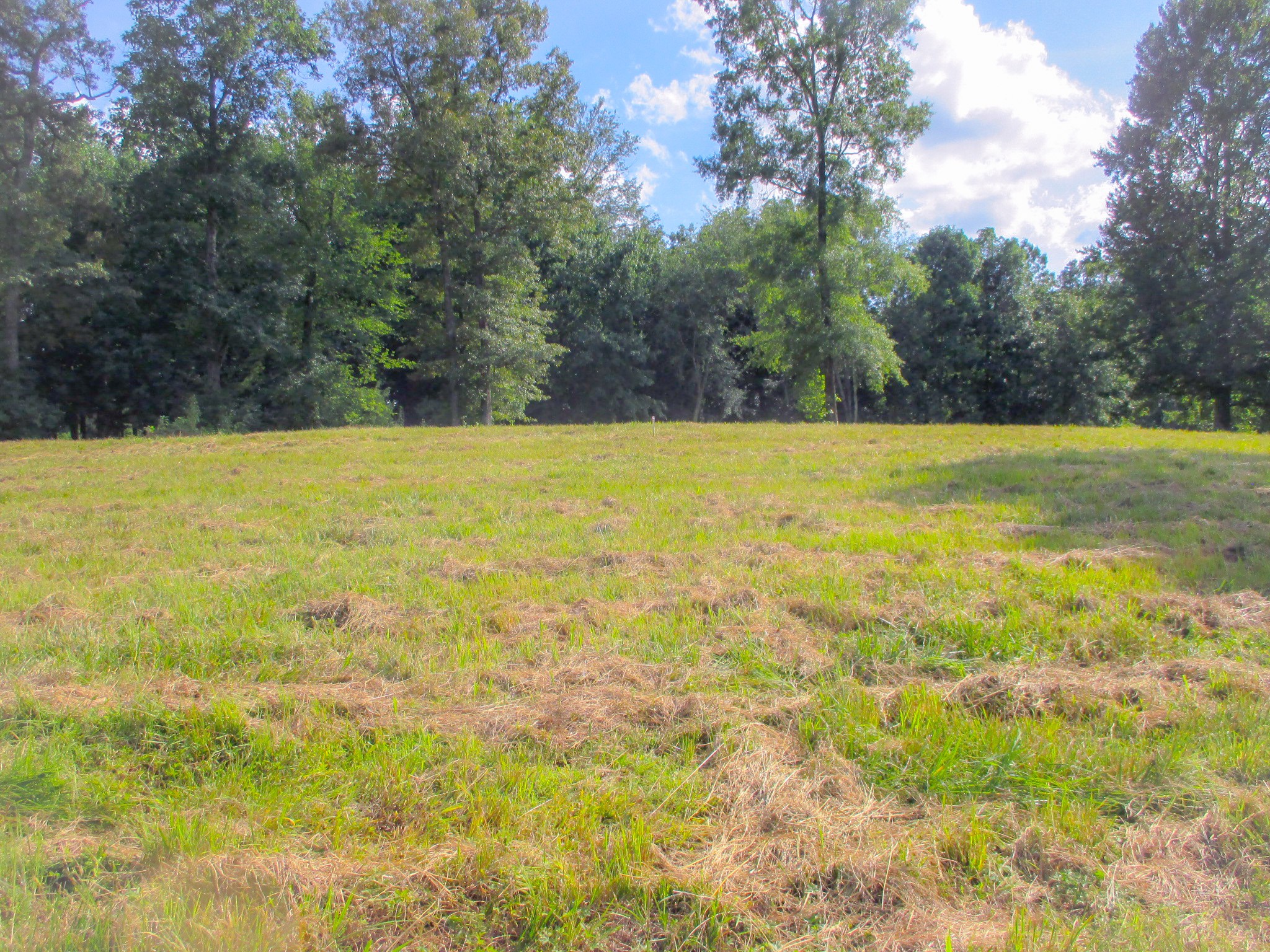 0 Spring Meadows Lane Morrison, TN 37357 - Photo 3 of 13 a view of an outdoor space and swimming pool