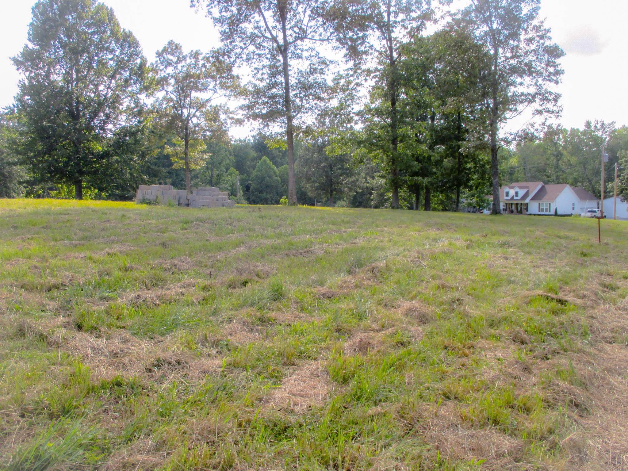 0 Spring Meadows Lane Morrison, TN 37357 - Photo 4 of 13 a view of a field with trees