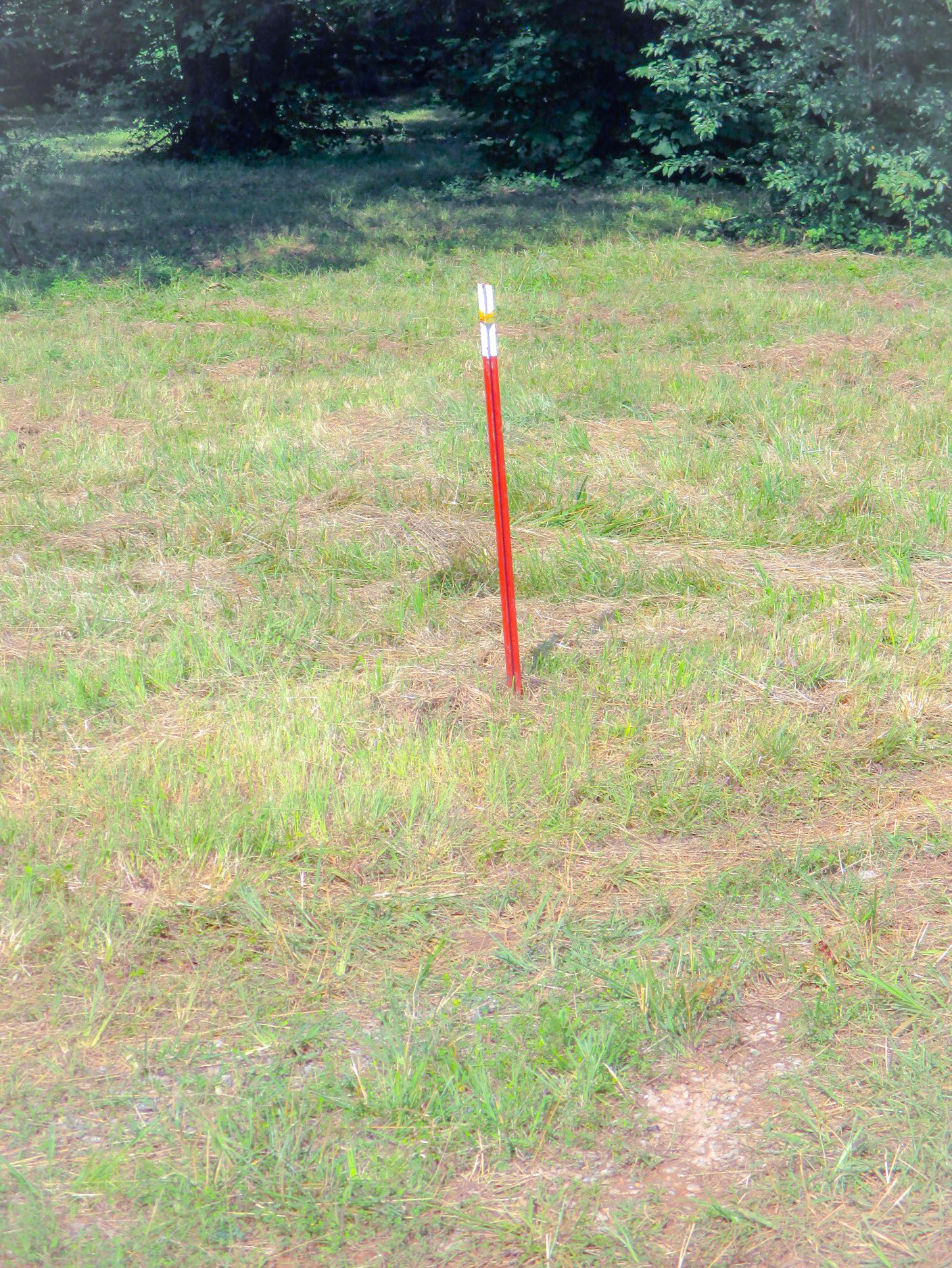0 Spring Meadows Lane Morrison, TN 37357 - Photo 7 of 13 a view of a yard
