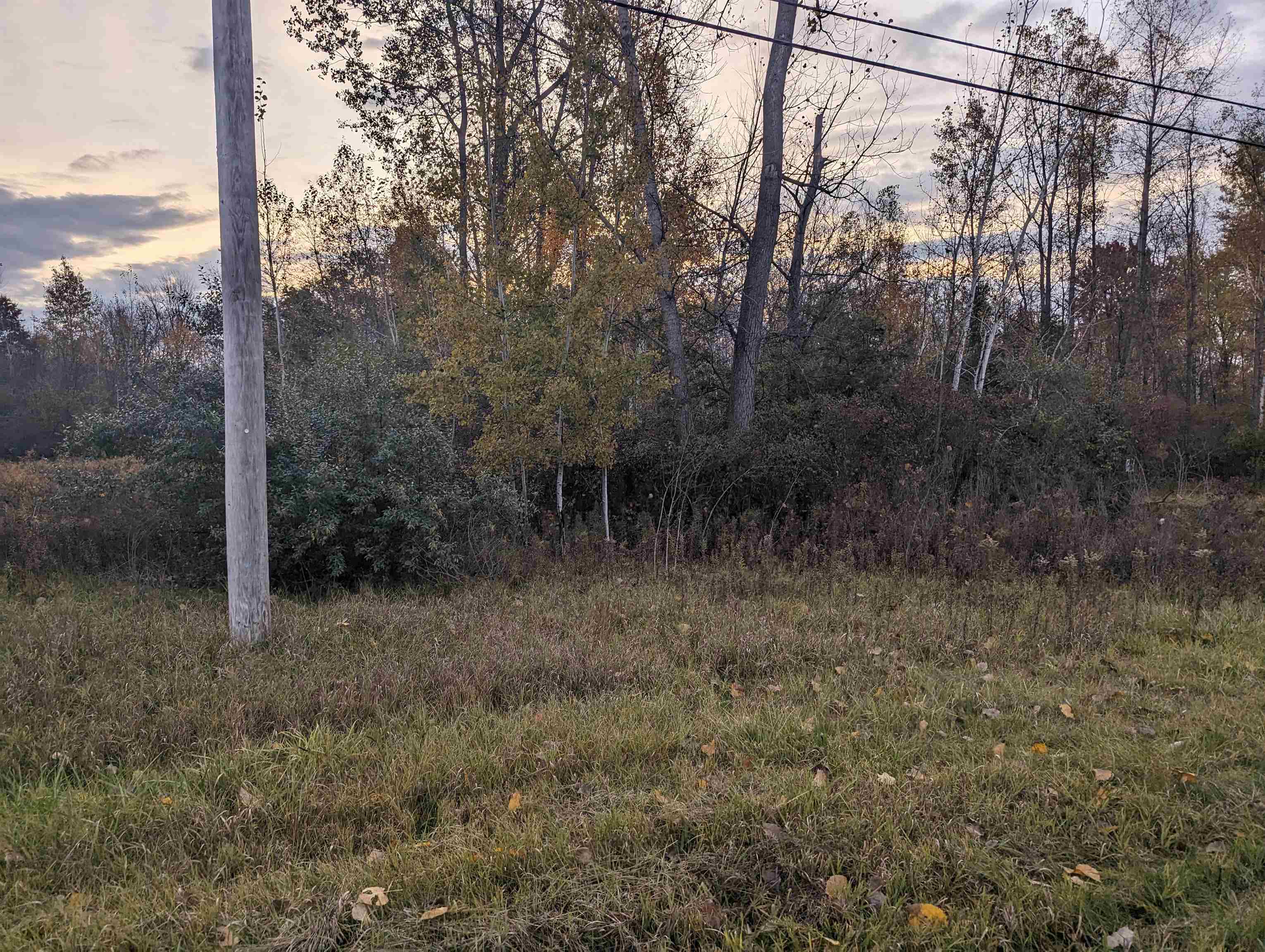 N/a South Hale Road Omer, MI 48749 - Photo 2 of 6