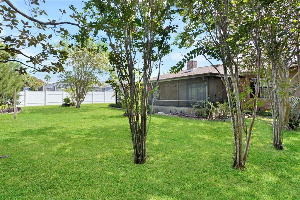 1822 Rada Terrace Deltona, FL 32725 - Photo 35 of 36 Backyard