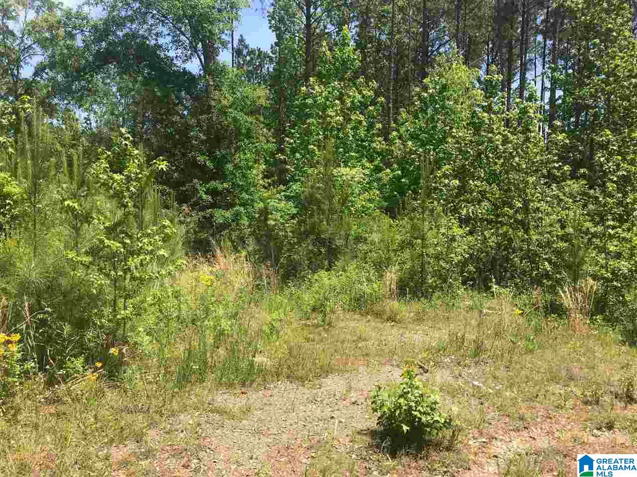 Firehouse Road, Unit 21 Goodwater, AL 35072 - Photo 7 of 21