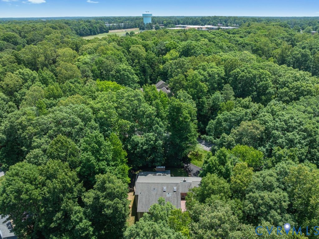 14010 Harbour Pointe Road Midlothian, VA 23112 - Photo 73 of 84