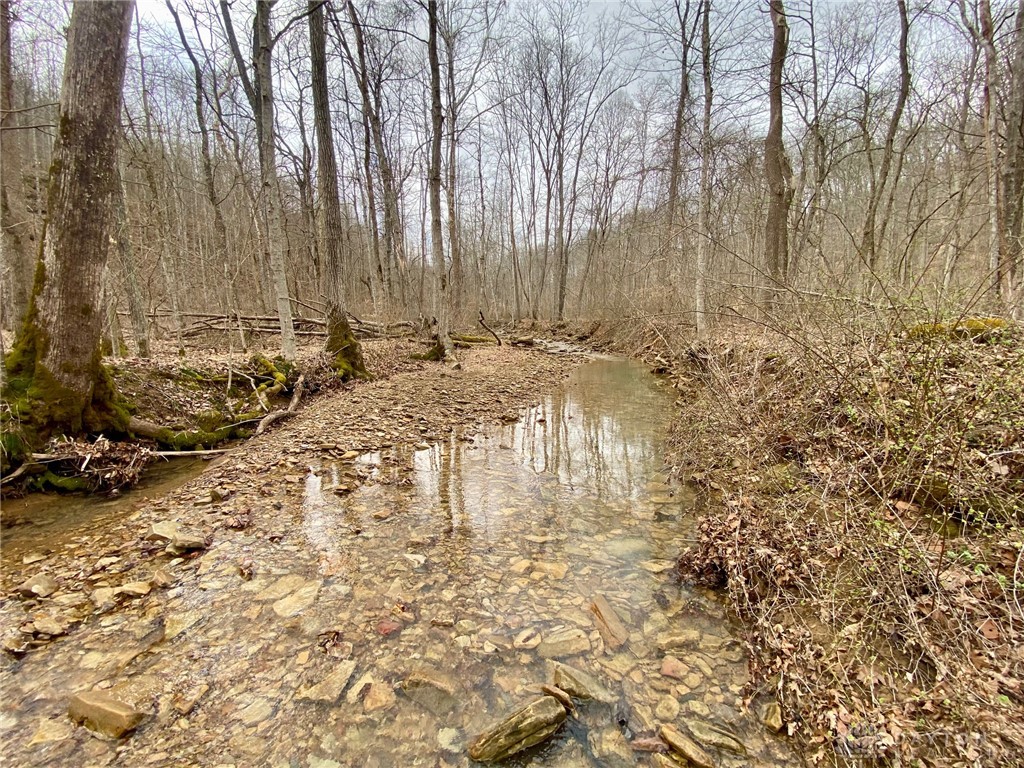 20 Beech Fork Road Lucasville, OH 45648 - Photo 5 of 17