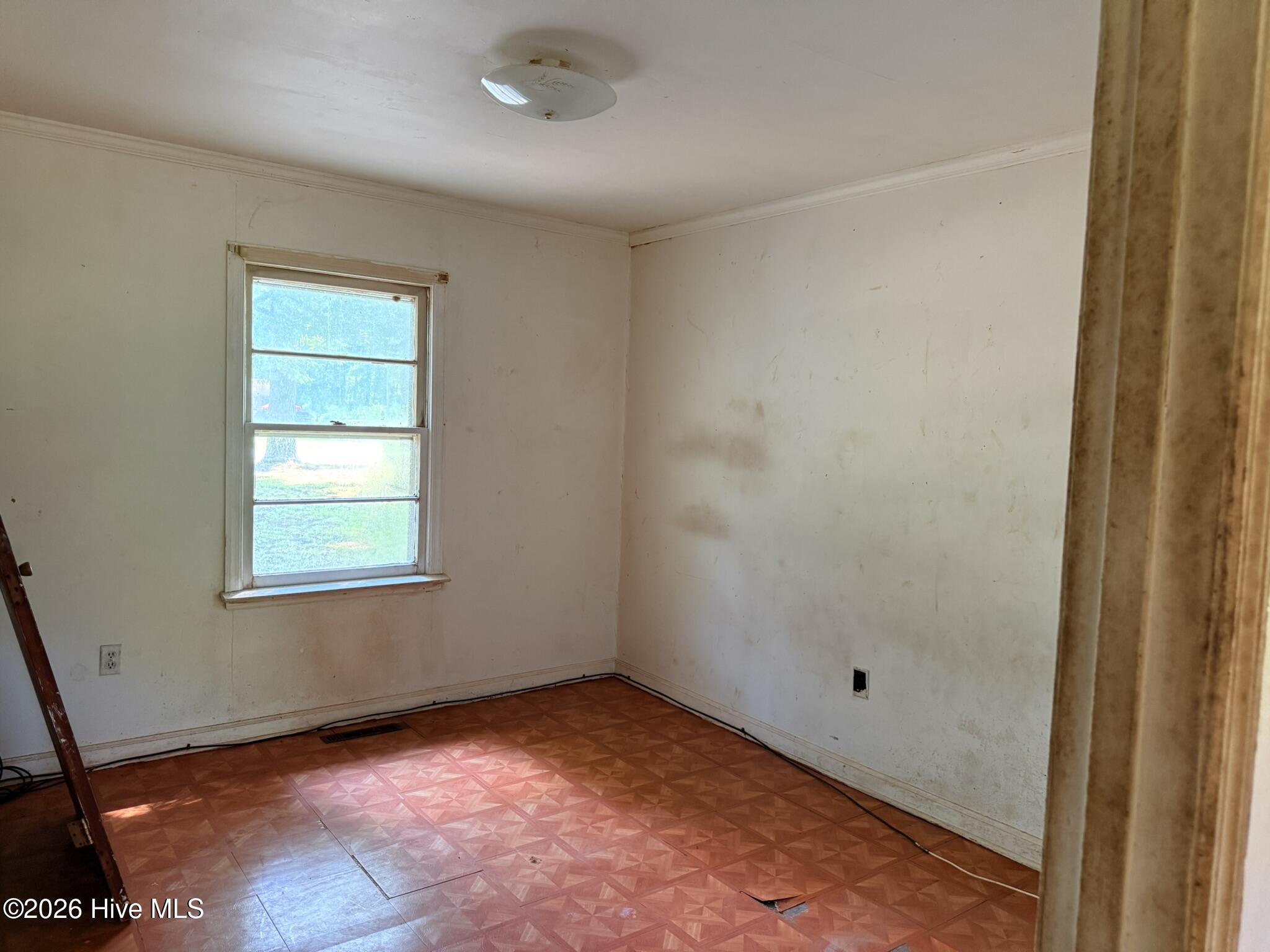 609 Swamp Road Pantego, NC 27860 - Photo 9 of 16