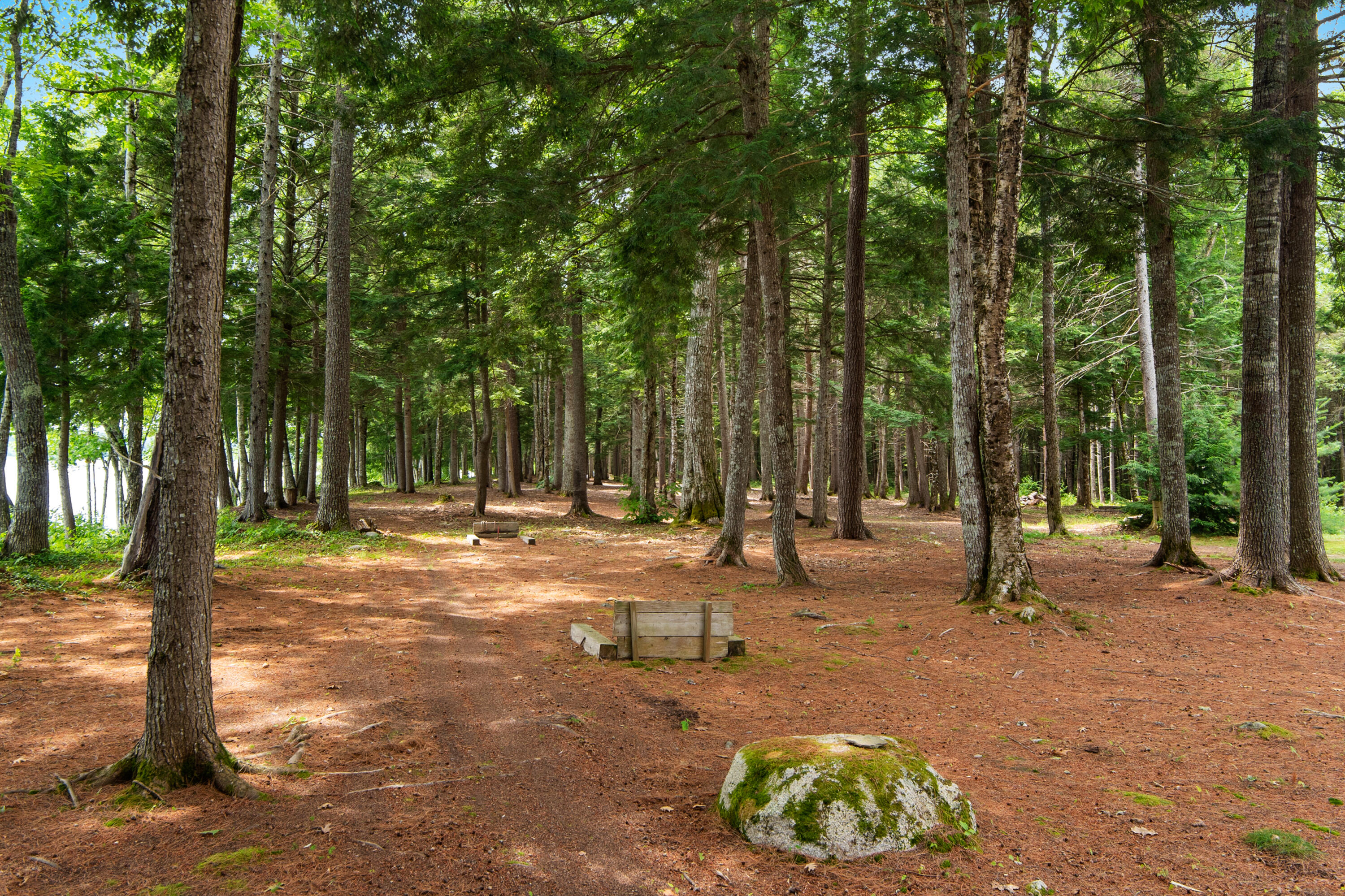 946 Edinburg Road Howland, ME 04448 - Photo 52 of 85 946 Edinburg Road_0015