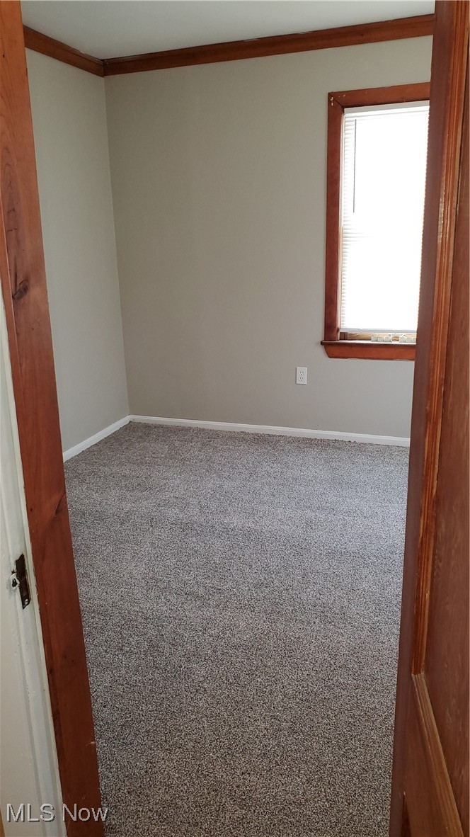 17610 Brazil Road Cleveland, OH 44119 - Photo 27 of 50 Empty room with ornamental molding and carpet flooring