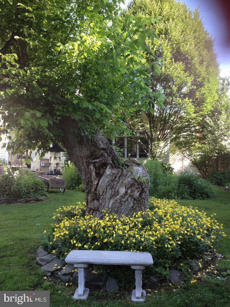 271 Main Street Hamilton, NJ 08620 - Photo 16 of 24