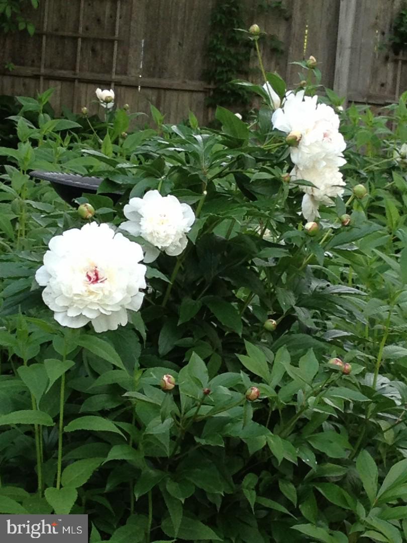 271 Main Street Hamilton, NJ 08620 - Photo 23 of 24