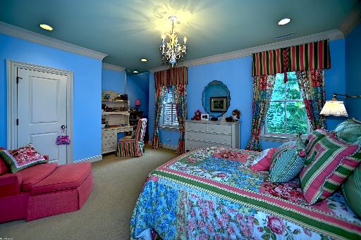 15W240 62nd Street Burr Ridge, IL 60527 - Photo 10 of 16