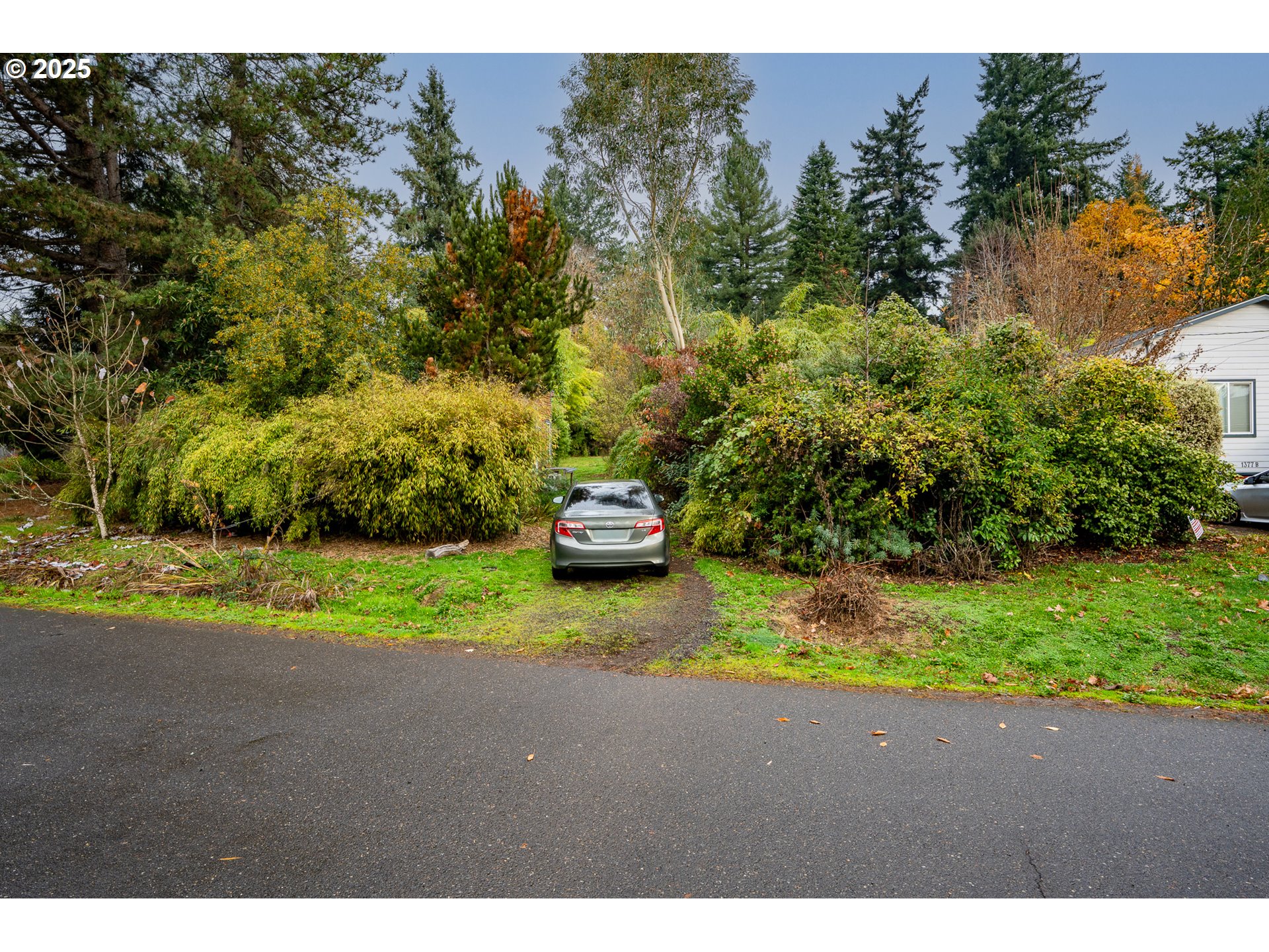 Southwest Taylors Ferry Portland, OR 97219 - Photo 3 of 13 a green field with lots of trees