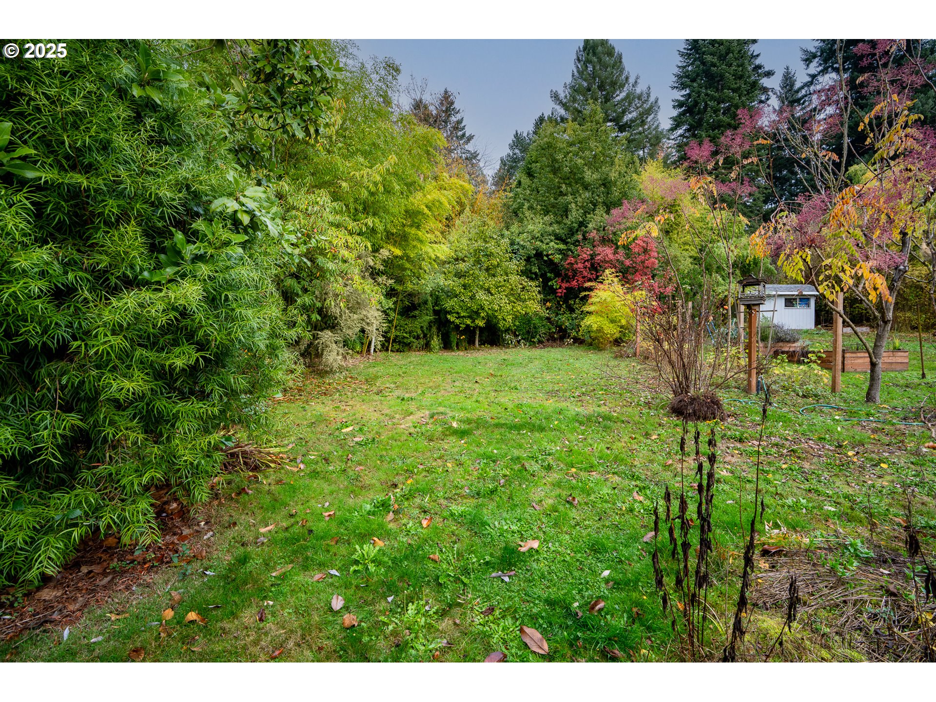 Southwest Taylors Ferry Portland, OR 97219 - Photo 5 of 13 a view of a back yard