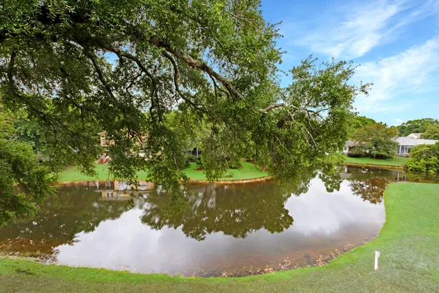 a view of a lake in a yard
