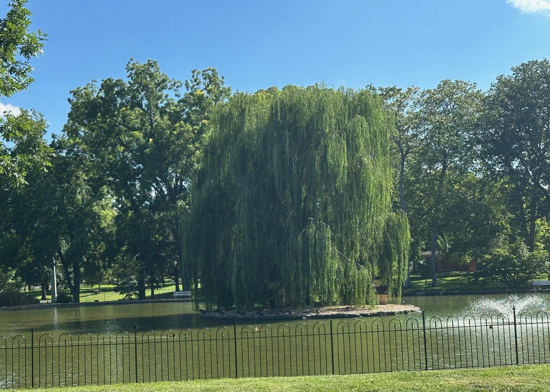 2403 Park Hill Road Staunton, VA 24401 - Photo 39 of 41