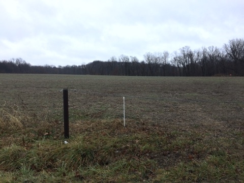 1688 South Pelzer Road Boonville, IN 47601 - Photo 4 of 7
