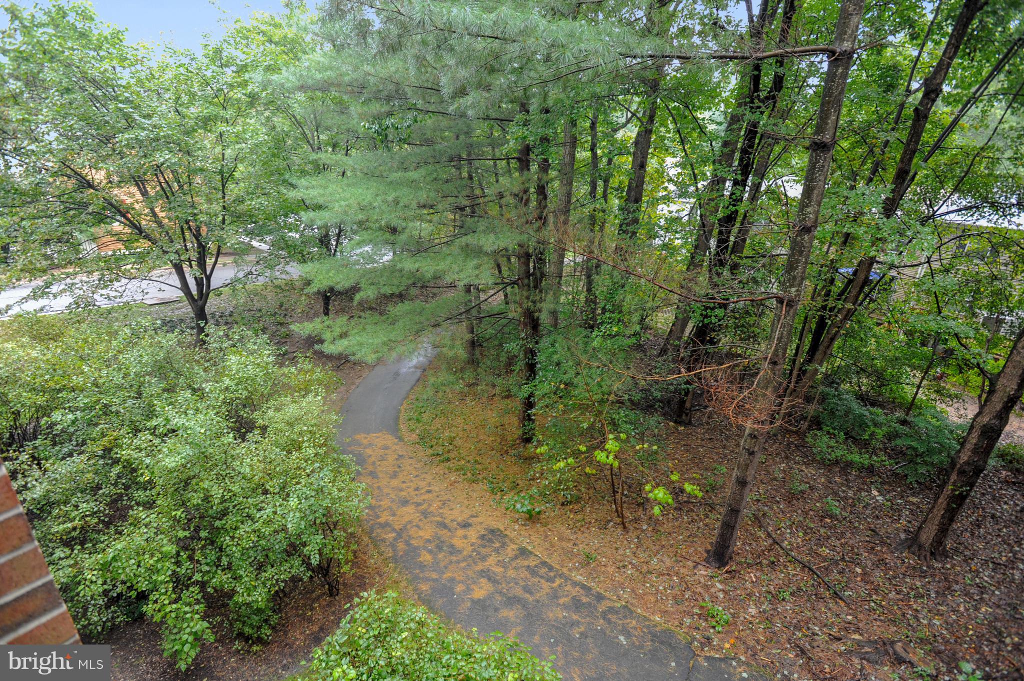 1951 Sagewood Lane, Unit 6 Reston, VA 20191 - Photo 15 of 30 a view of a forest with lots of trees