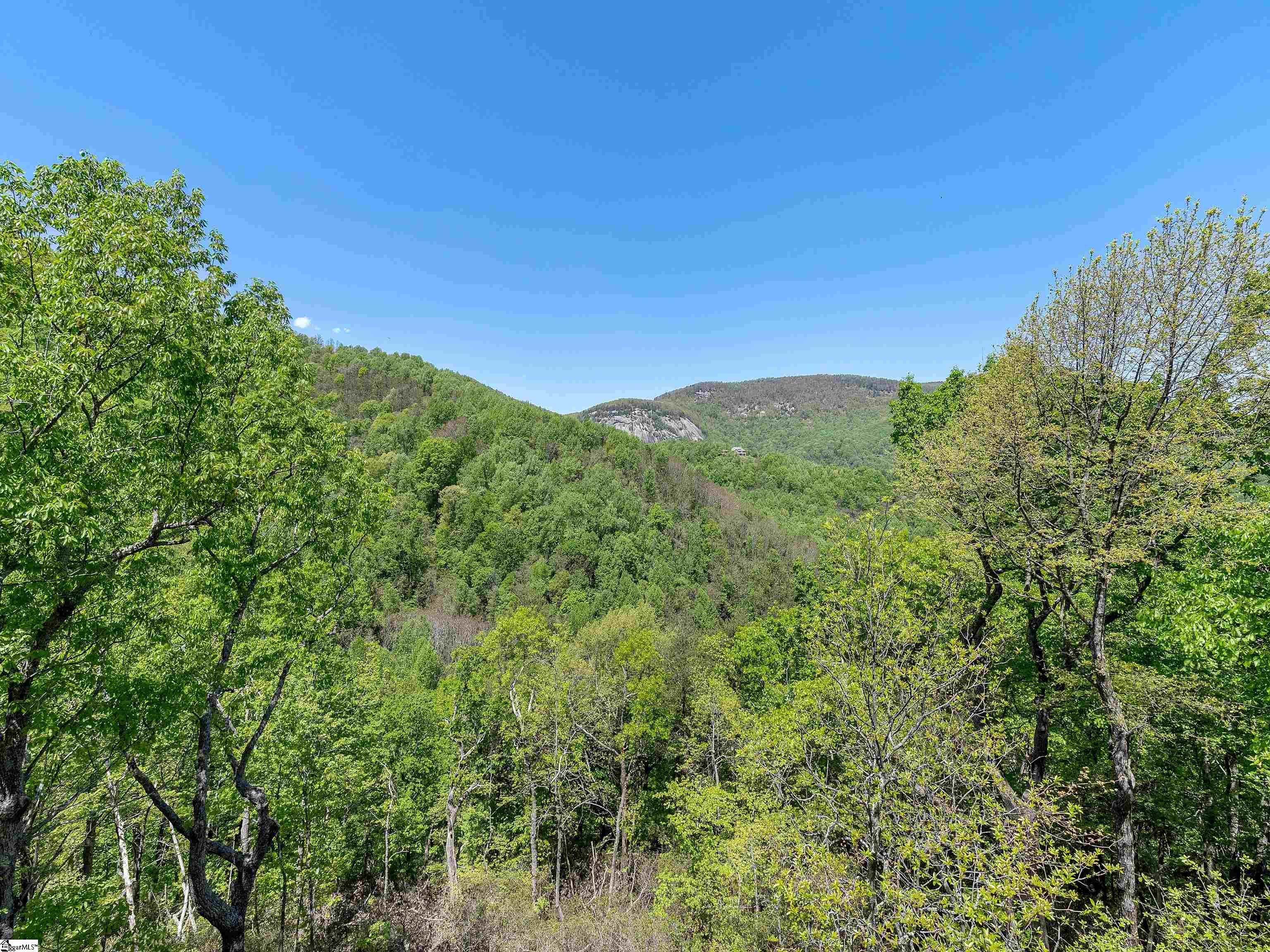 33 Eagle Rock Road Landrum, SC 29356 - Photo 2 of 36