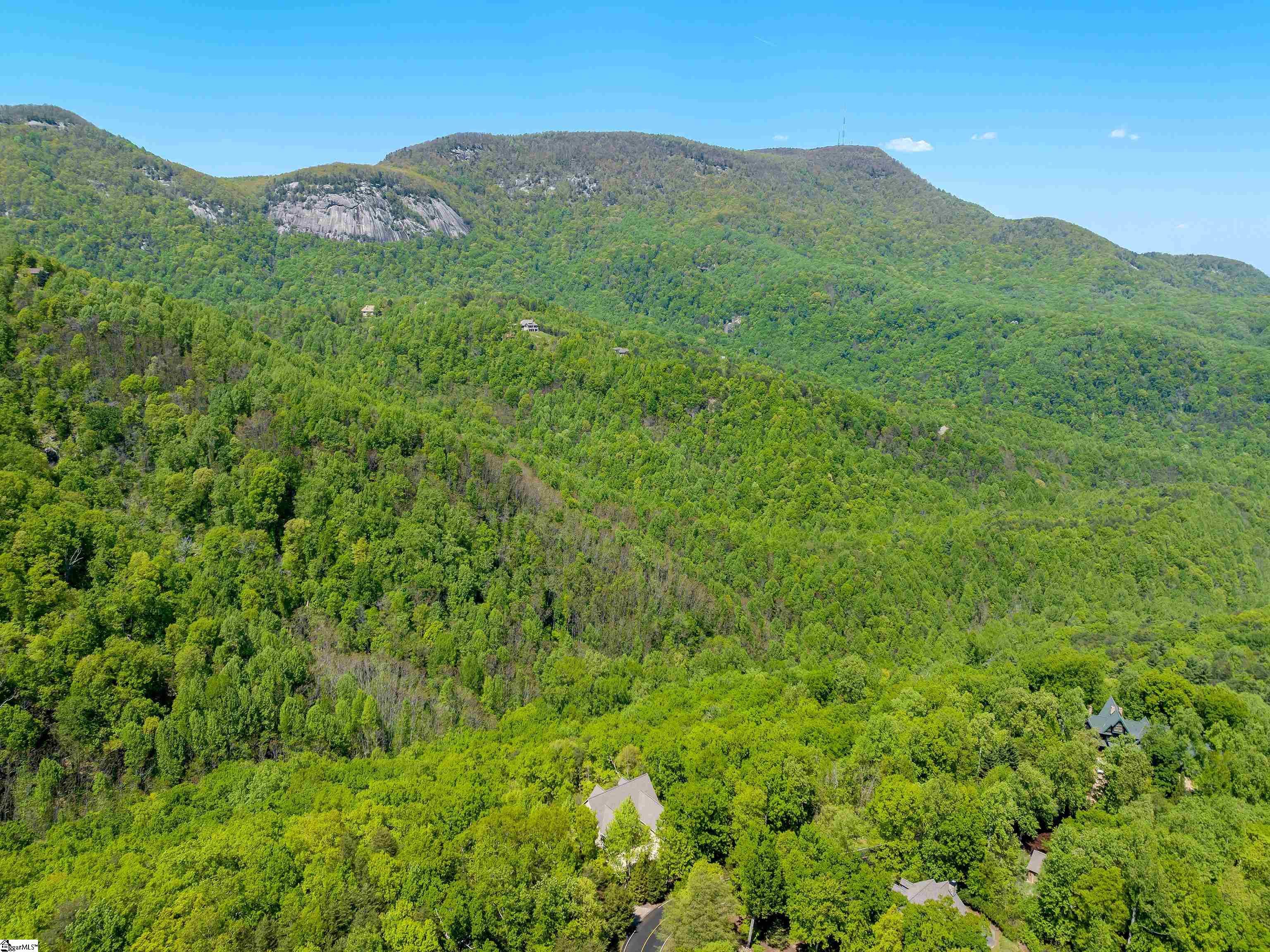 33 Eagle Rock Road Landrum, SC 29356 - Photo 35 of 36