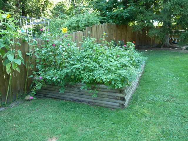 460 Hamil Road Penn Hills, PA 15147 - Photo 22 of 25 Yard/Garden.