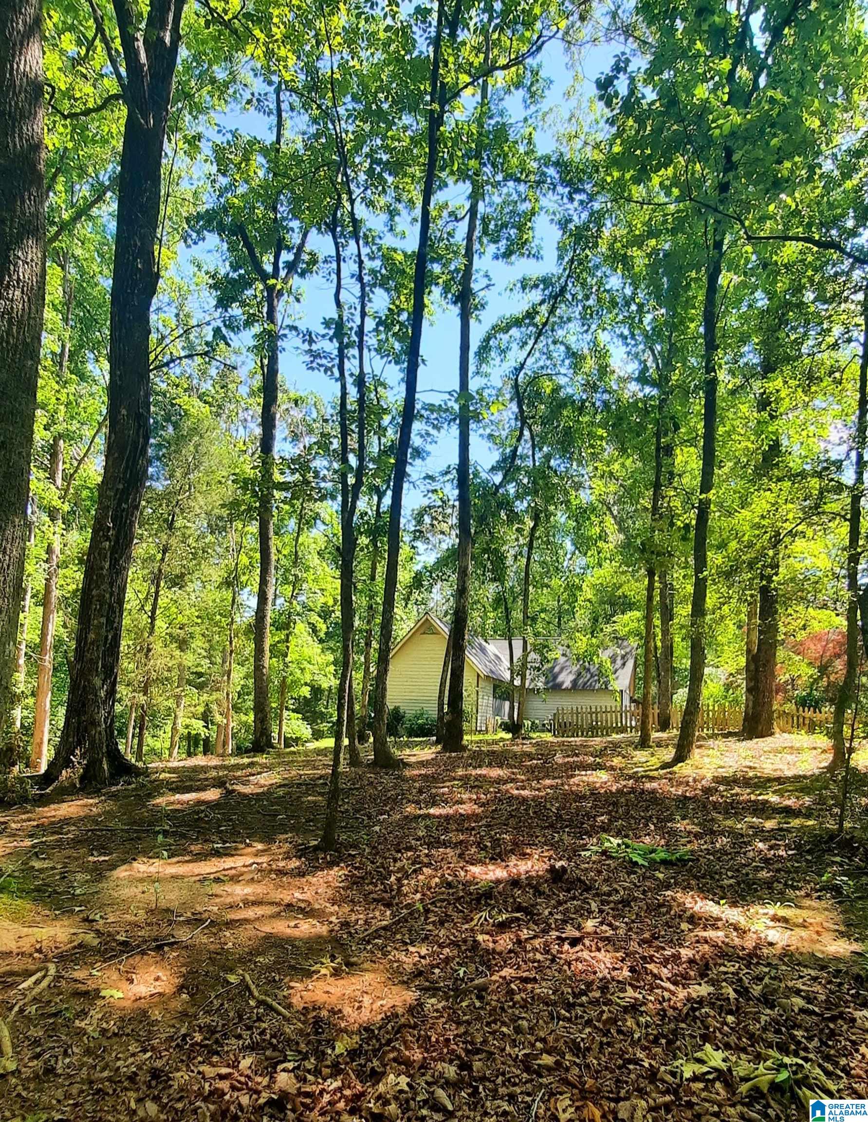 106 Roberts Circle Wedowee, AL 36278 - Photo 12 of 62