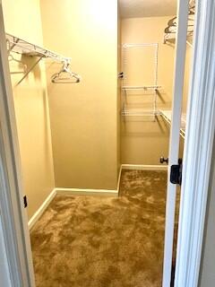 401 Sandleton Way Evans, GA 30809 - Photo 14 of 24 401 Sandleton primary bathroom